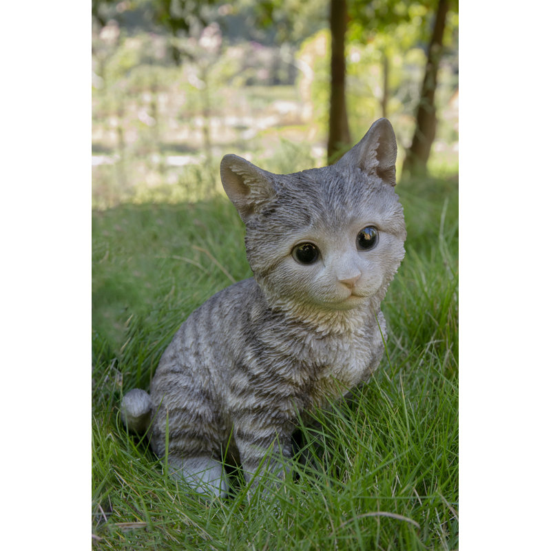 HEAD-TILTING TABBY KITTEN SITTING, Grey