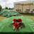 Artificial Cemetery Flowers For Grave