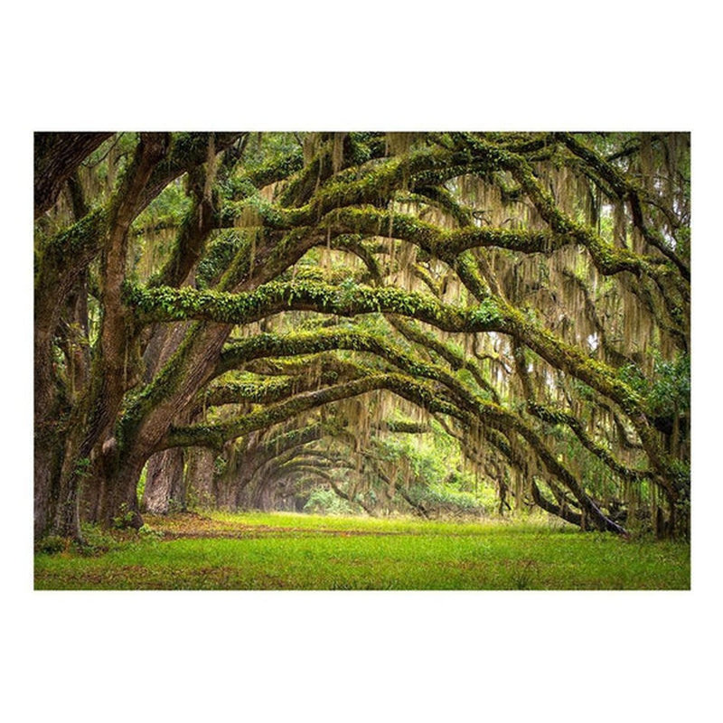 Danina Wall Mural, 96" L x 137" W