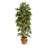 75'' Faux Bamboo Tree in Cotton Planter