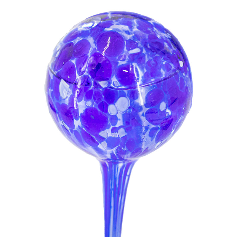 Adamski Cloche Or Water Globe