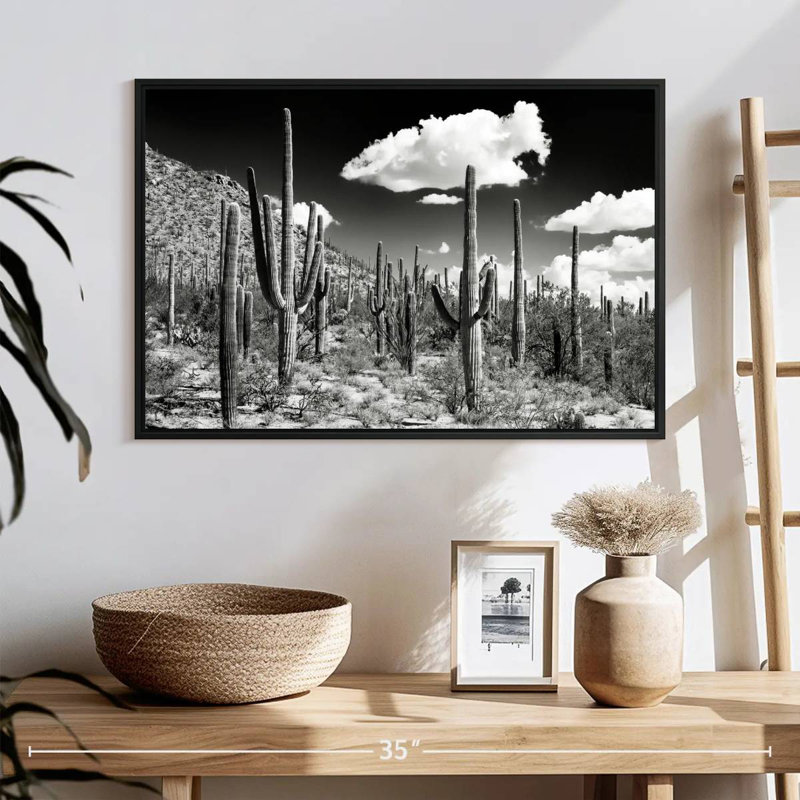 Black Arizona - Cactus Forest, 25" X 17", Floating Frame Black