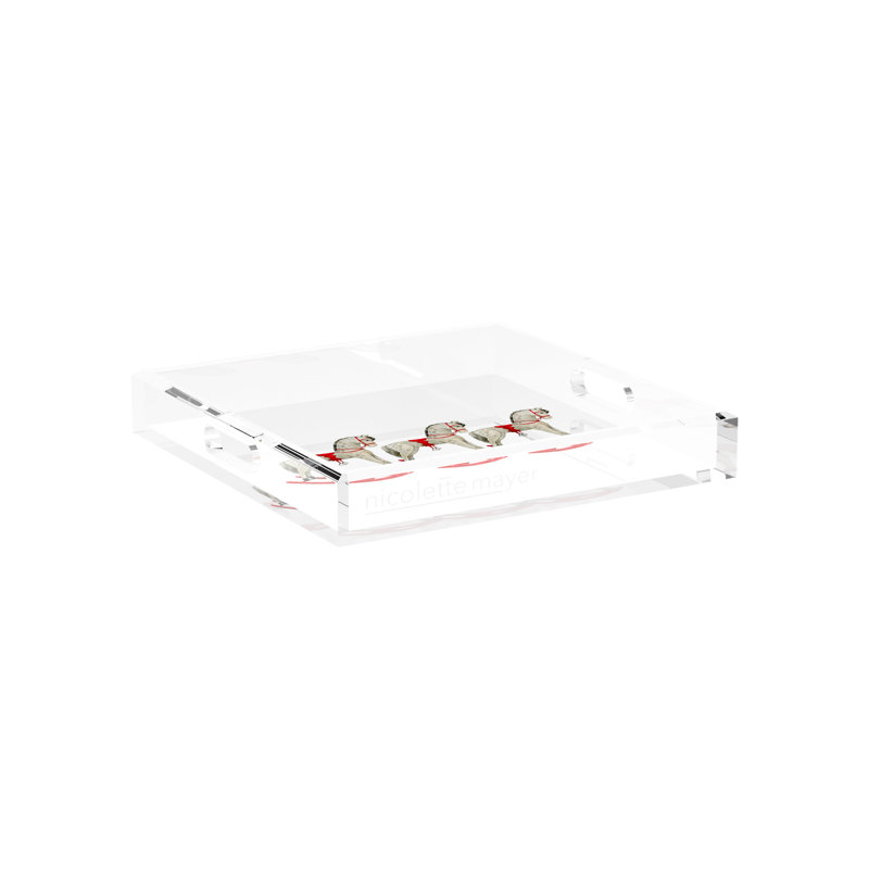 Acrylic Decorative Tray