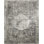 Oriental Area Rug in Gray