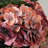 Black Bud Ceramic Table Vases