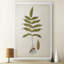 Fern Botanical III - Wrapped Canvas Print-654865470-656847909