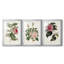 Mélange de fleurs roses I - impression encadrée sur mesure de qualité supérieure mate - 3 pièces-44061800-44061781