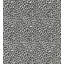 Backyard Bengal Animal Print Fabric-1763567017