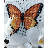 "Butterflies" 117CS Counted Cross-Stitch Kit