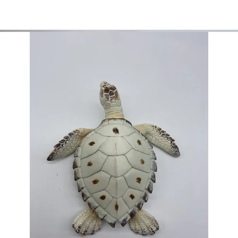 Tortue Penn, H 3 po x l 9 po x P 8 po