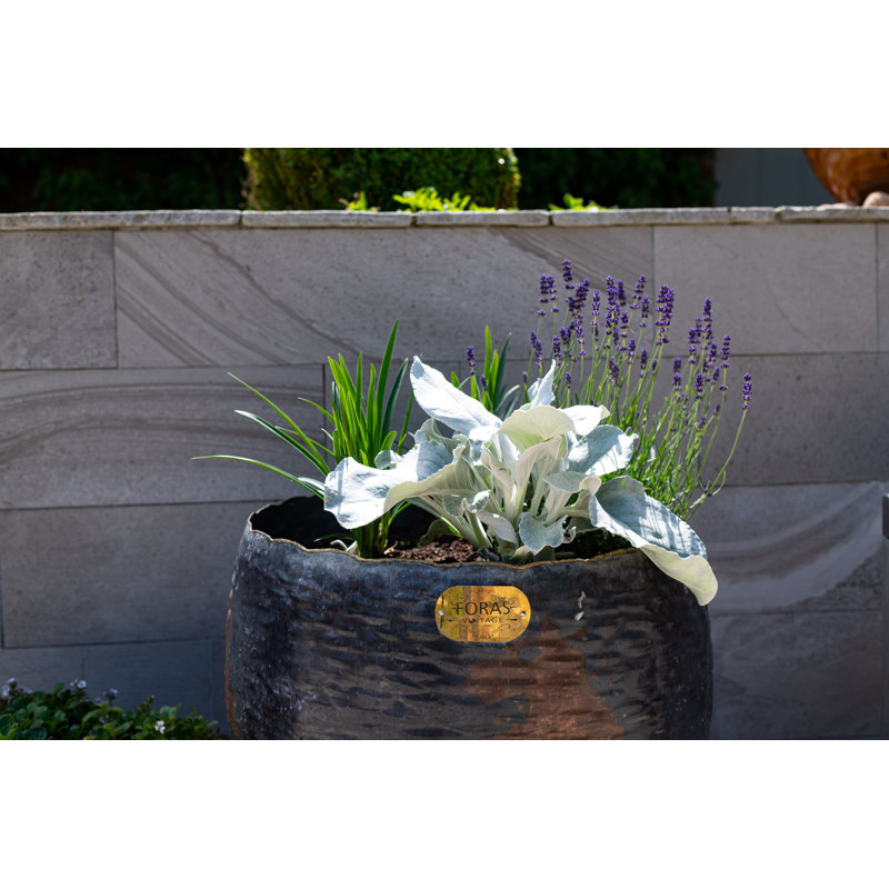 Alessio Metal Pot Planter