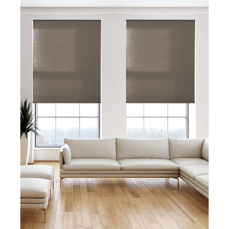 Store cellulaire filtrant la lumière, l 33 po x L 72 po, Chocolat