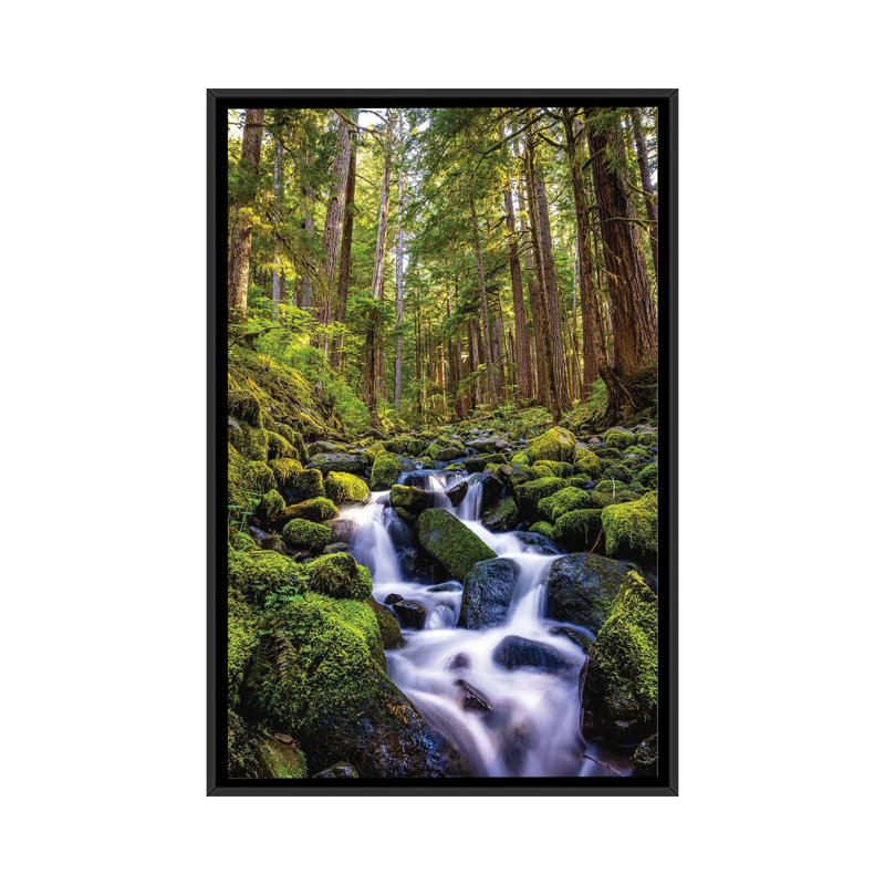 Cascade olympique du parc national olympique I - reproduction d'art murale - toile encadrée, Noir, H 26 po x l 18 po