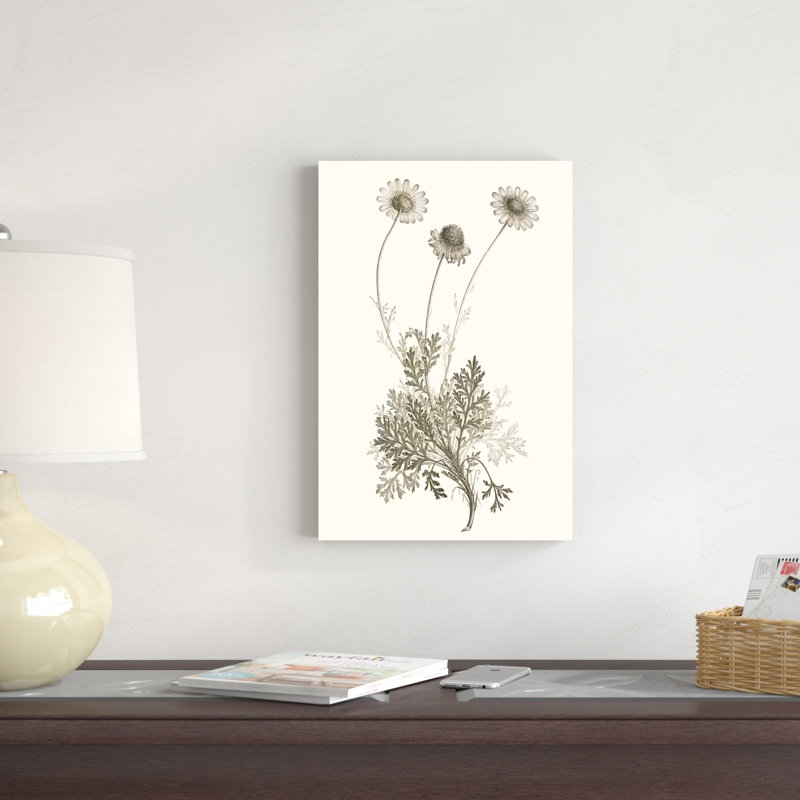 «Neutral Botanical Study VIII», peinture sur toile, H 18 po x l 12 po