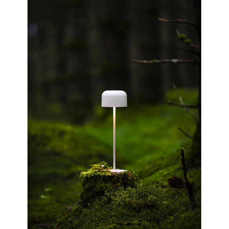 Lille Mini Cordless Table Lamp - USB Rechargeable, Dimmable LED, Elegant Design, 36cm H x 11cm W x 11cm D, White