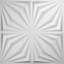 Panneau mural blanc 19,625 "H x 19,625"