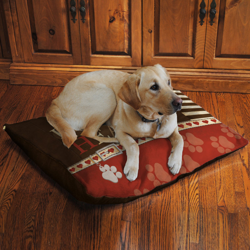 Lit pour chien polaire à pattes
