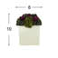 Assorted Sedum in Fiberstone Pot