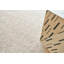 Tangaro Area Rug in Light Beige-63579854