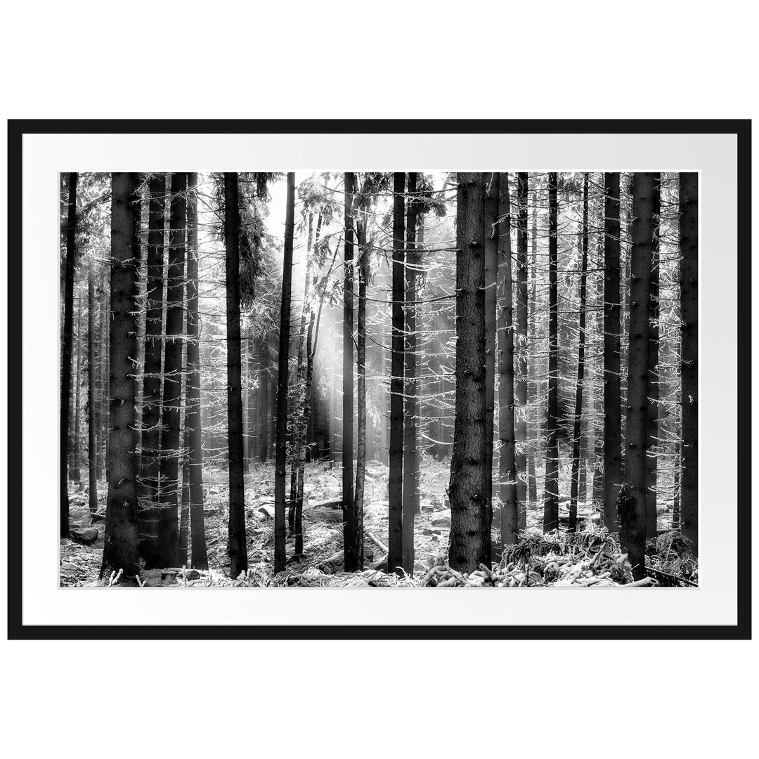 Gerahmtes Poster Winterwald