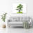 Bonsai Tree - Wrapped Canvas Print