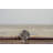 Presli Indoor Rug-1754730323