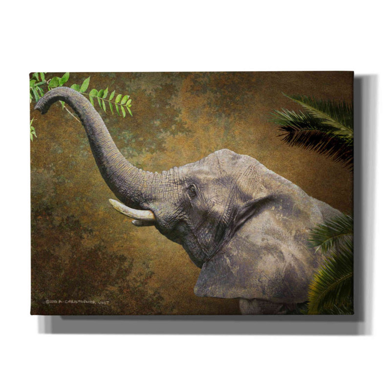 «Forest Elephant» par - impression sur toile tendue, H 12 po x l 16 po x P 0,75 po
