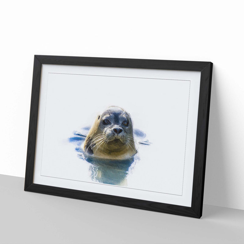 Grey Seal - Framed Print, 27cm H x 36cm W x 2cm D, Black Framed