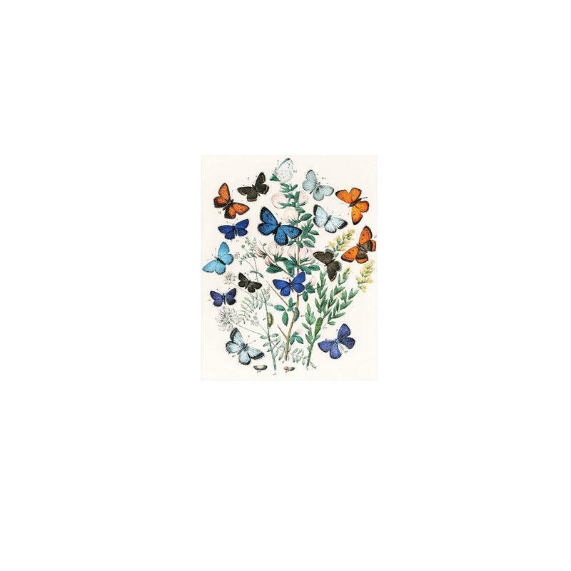 «Butterflies Wild Blooms», art mural encadré en bois à l'arrière, 30 x 20