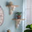 Aadhvik Bracket Shelf