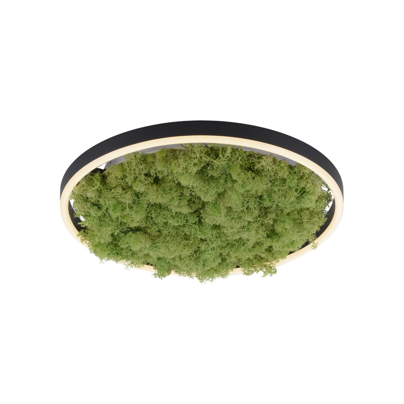 Ahlivia Not Applicable LED Flush Mount