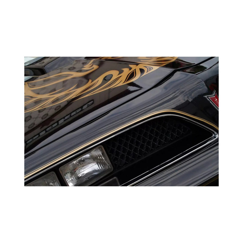 1978 Pontiac Trans Am, Front End Detail by Clive Branson - Wrapped Canvas Print, 20.32 cm H x 30.48 cm W