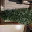 Customer photo 4 of 4