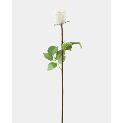 Bourgeon de rose blanche de 23 po