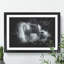 Lone Horse - Picture Frame Graphic Art-62802573-62802568