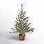 36" Potted Skip Pine Tree With Cone