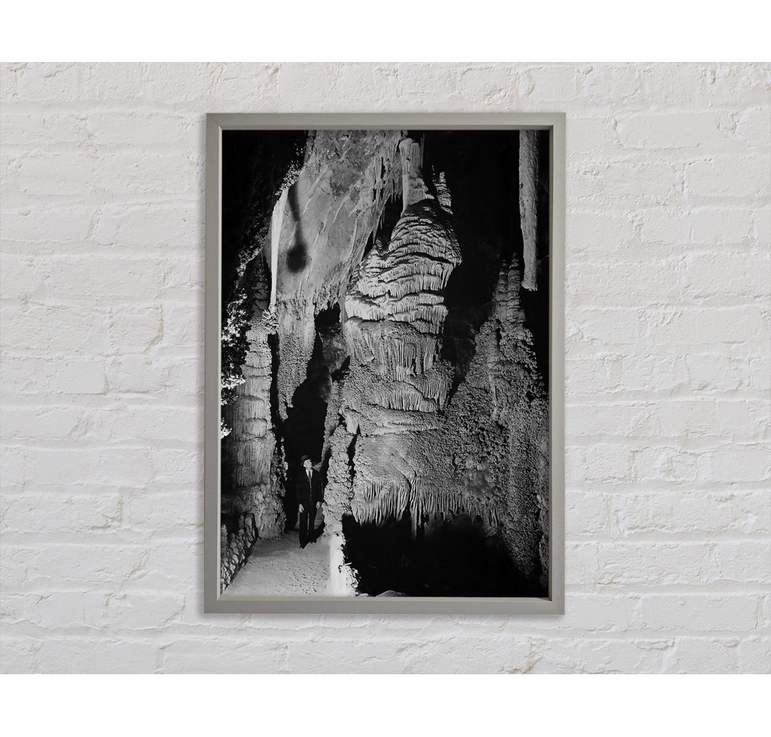 Ansel Adams Carlsbad Caverns National Park New Mexico 2 - Druck