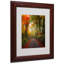 « the lost path » par philippe sainte-laudy,, reproduction de photo encadrée-10593384-10593387