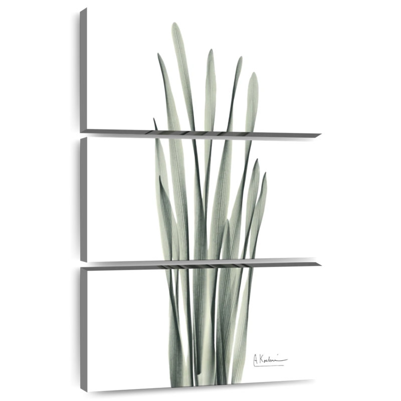 Feuille de jacinthe Harnek, H 50 po x l 32 po
