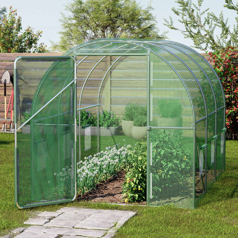 Polytunnel Greenhouse 3x2m