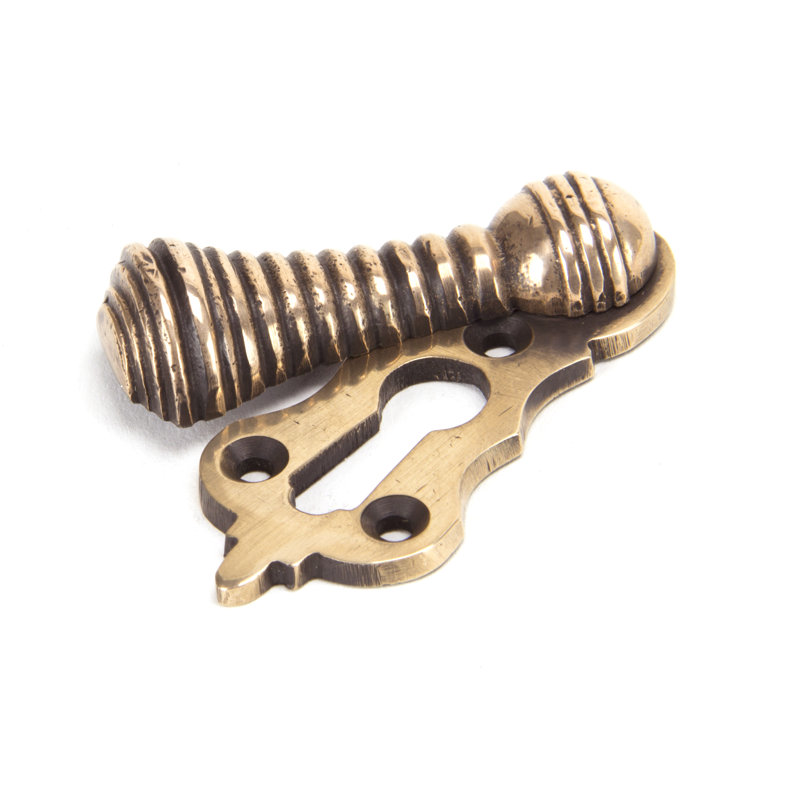 Beehive Escutcheon Door Accessory, Polished Bronze