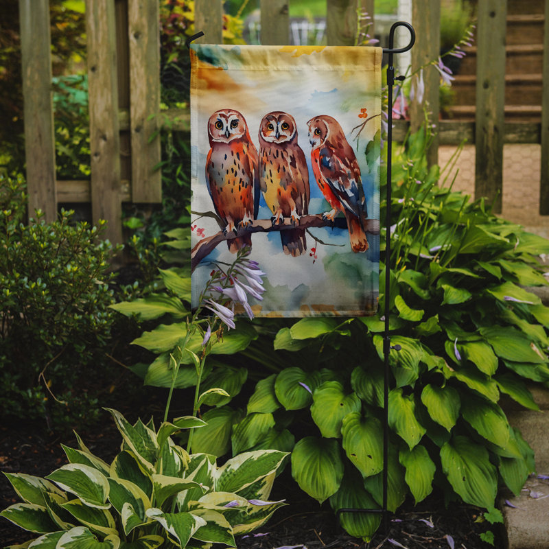 Drapeau hiboux de jardin_DAC3247