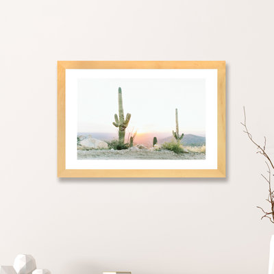 «Saguros in the Sun, Tuscon, Arizona», photographie