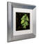 Jadaya Black Gold Herbs IV - cadre photo, impression sur toile-59193888-20124072-20124070