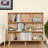 Color Bookcase-98473028