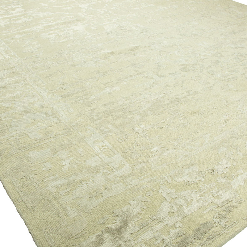 Hand Knotted Area Rug, Rectangle 4' x 6'