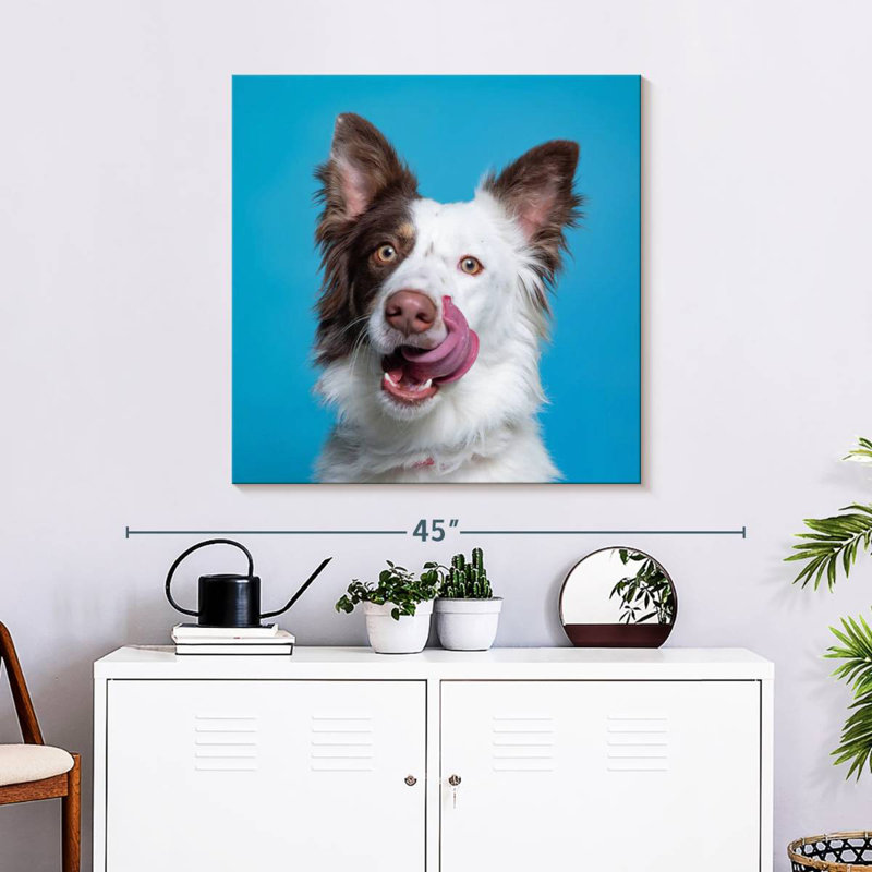 Crowle Charming Pooch