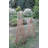 Wood Expanding Trellis-359272043-296567424
