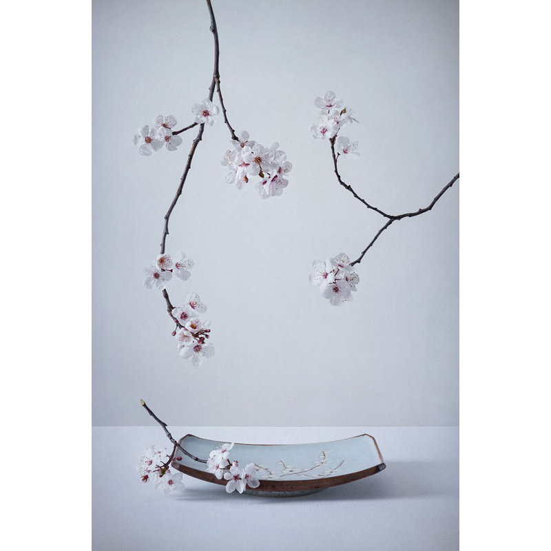 Wrapped Canvas Print, 50.8 cm H x 76.2 cm W