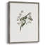 «Vintage Floral Print», impression encadrée CCVIII - bois massif-84096411